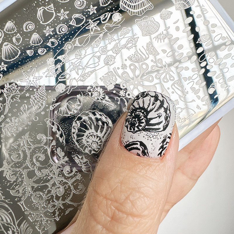 Nail Art Stamping Kit - XMQ Nail ART STAMPING PLATES OCEAN