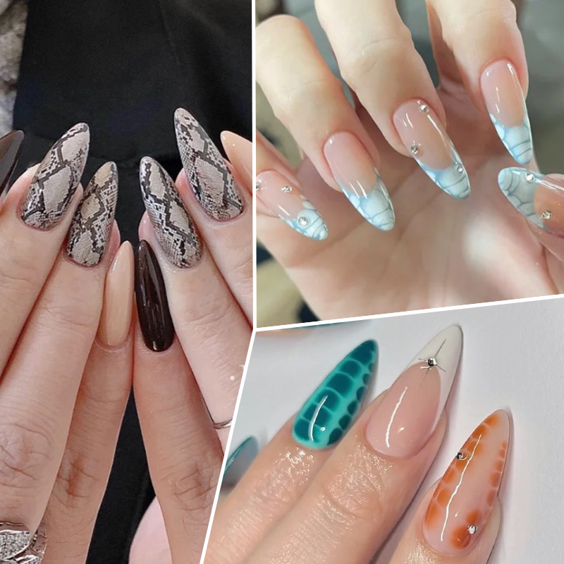 BORN PRETTY Snake Nail Stampin – Nail Art Stamping Kit recenzja i cena
