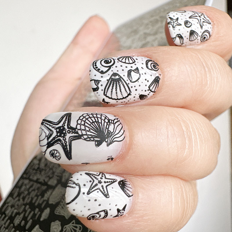 XMQ Nail ART STAMPING PLATES O – Nail Art Stamping Kit recenzja i cena