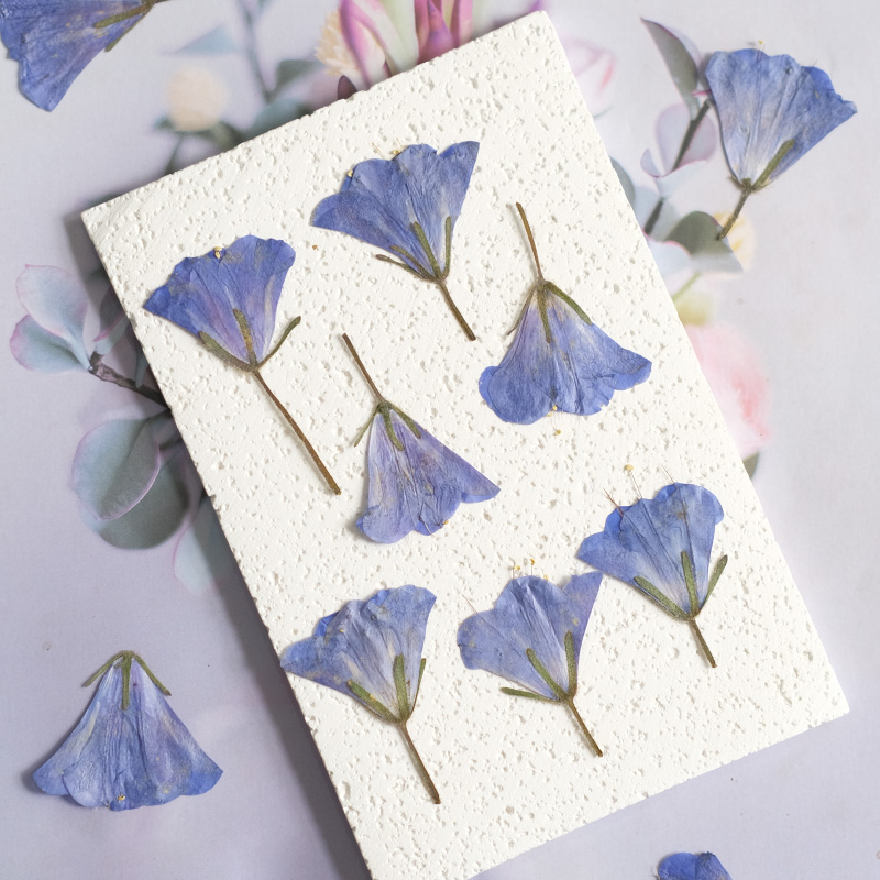 12pcs/3-5cm,nature Bluebell Em – Beauty Makeup Bridal recenzja i cena
