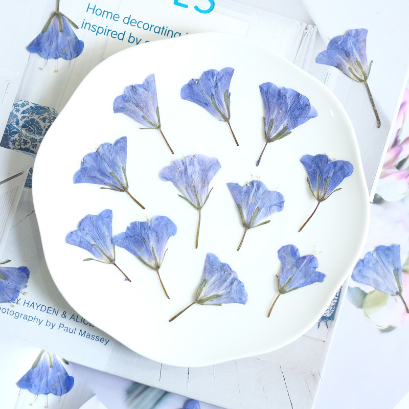 12pcs/3-5cm,nature Bluebell Em – Beauty Makeup Bridal recenzja i cena