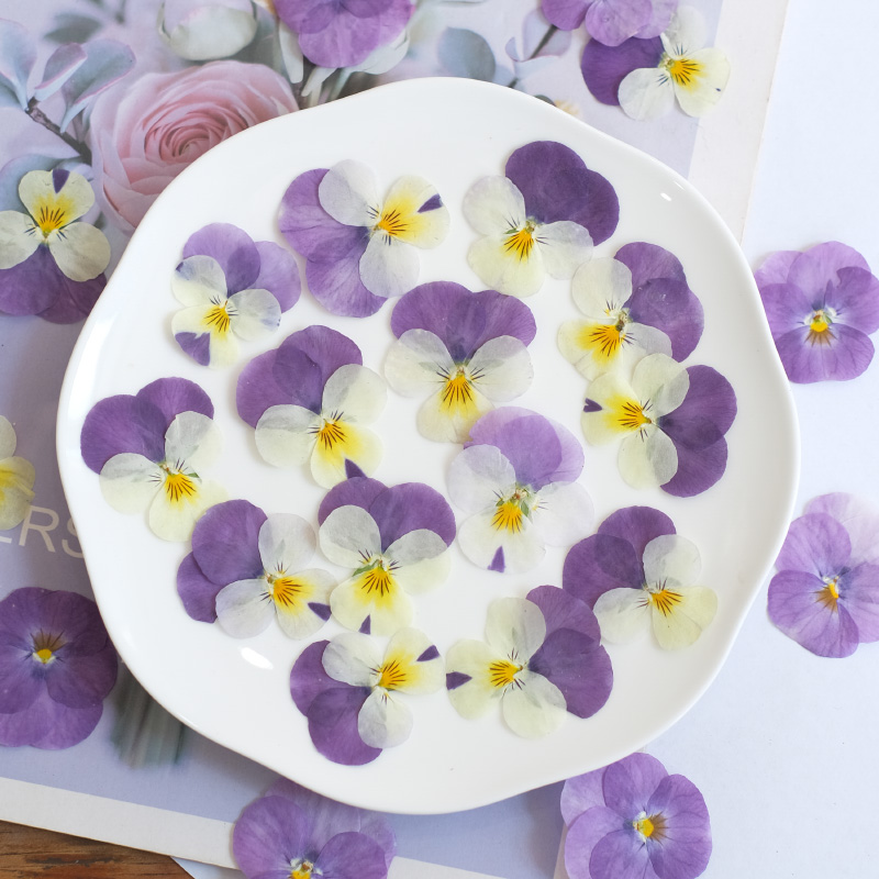 12pcs,nature Pansy Dried Flowe – Beauty Makeup Bridal recenzja i cena